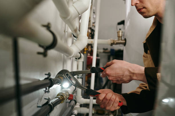 Best Toilet Repair Services  in Roxborough Park, CO
