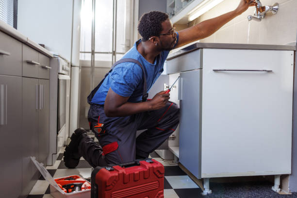 Best Plumbing Inspection Services  in Roxborough Park, CO